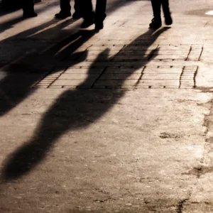 Shadows on pavement